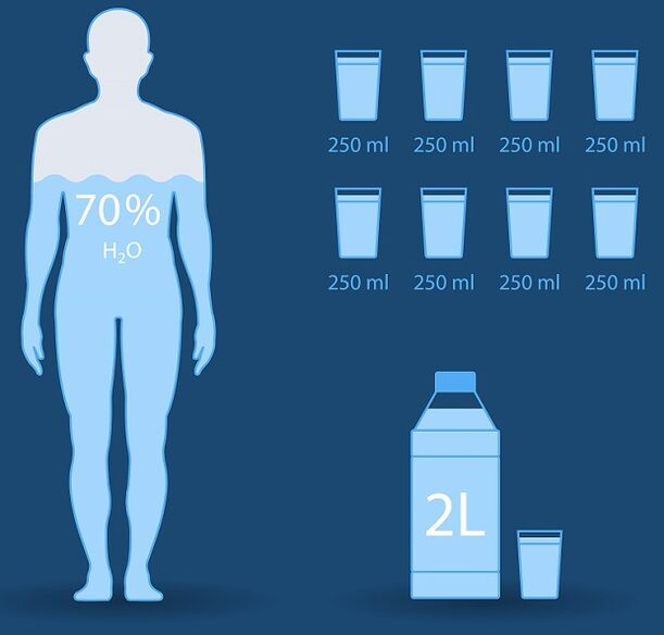 Average daily water consumption